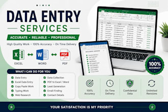 do accurate data entry typing and ms word excel work