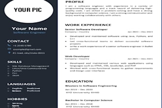 make you a custom cv  fully made by me no templates