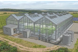 do 3d greenhouse design ,layout modelling with 3d rendering
