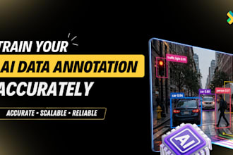 provide ai data annotation and data labeling services for machine learning model