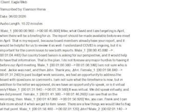 transcribe audio to text with accuracy and fast delivery