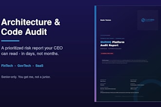 audit your software architecture and deliver a prioritized risk report