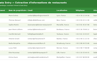 saisie de données et recherche web pour votre entreprise