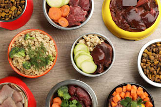 be your food scientist for recipe creation and food product development support