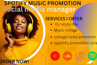 be your music social media manager and sportify promotion strategist
