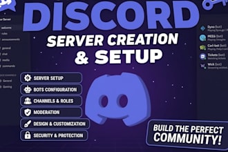 create and setup a professional discord server with bots