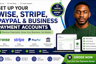set up wise, stripe, paypal, and business payment accounts for your business