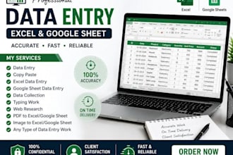 provide accurate data entry, excel and background verification services