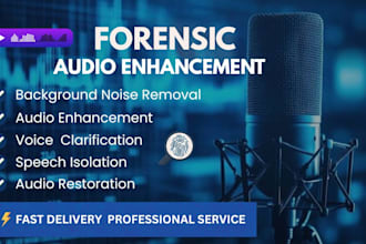 forensic audio editing, cleanup, noise removal and enhancement