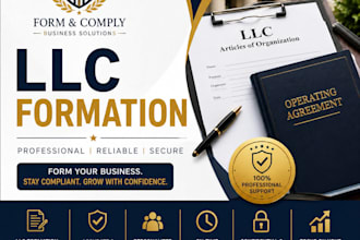 form your US llc professionally