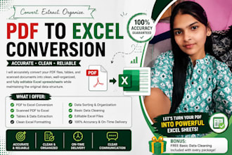 convert PDF to excel, PDF to editable excel spreadsheet