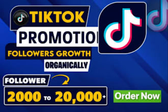 do organic tiktok promotion