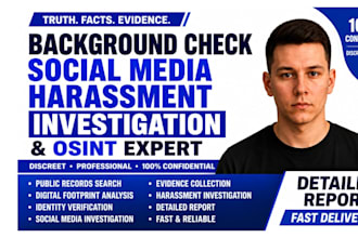 do background check, investigate social media harassment as a detective, osint