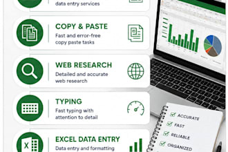 do accurate data entry and excel spreadsheet tasks