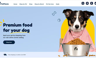 design squarespace pet grooming veterinary website pet website pet supply store