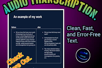 professional audio to text transcription