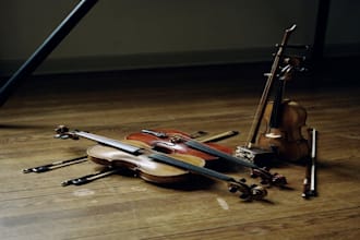 record live fiddle, violin, viola and erhu tracks, any style