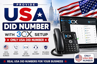 provide USA did number and 3cx setup