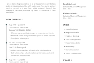design professional modern  CV resume