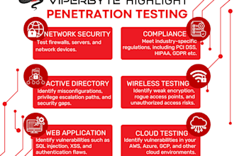 perform a professional web application, API, or network penetration test