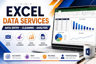 excel data entry, data cleaning and formatting