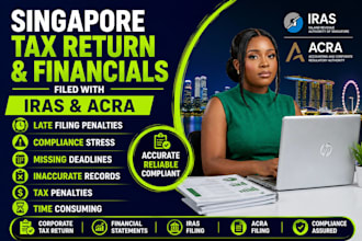 file singapore company, corporate tax return financial statements iras and acra