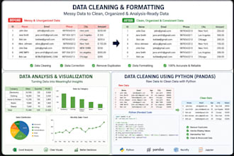 do data entry, data cleaning and excel data analysis