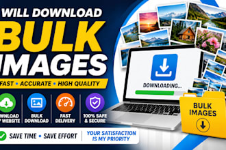bulk pictures and images download from any website