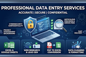 do secure and accurate data entry, web research, and data cleaning