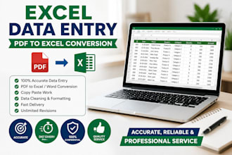 excel data entry and convert pdf to excel accurately