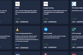 write a professional vulnerability assessment and pentest report