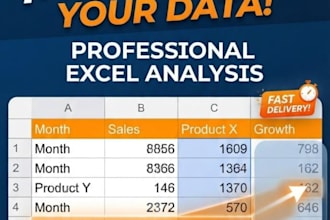 do professional data analysis and excel visualization