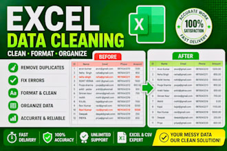 clean and format your excel or CSV data professionally
