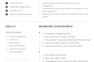 write professional resume and linkedin for wgu graduates