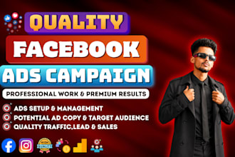 setup quality facebook ads campaign for maximum conversions, leads and traffic