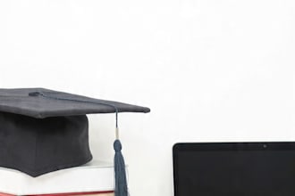 write professional essays and academic papers