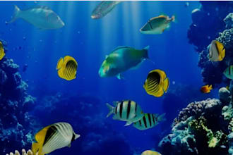 do data migration for your business
