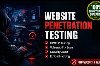 do web penetration testing and vulnerability assessment