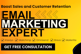 klaviyo mailchimp brevo omnisend mailerlite email marketing expert