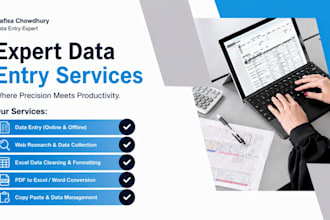 do professional data entry, web research, and excel data cleaning