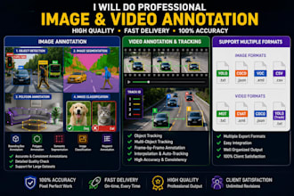 do image  and video annotation and data labeling