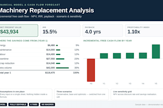 build a financial model and cash flow forecast