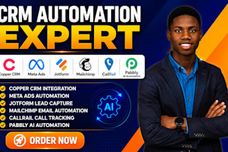 integrate copper crm meta ads jotform mailchimp callrail pabbly ai automation
