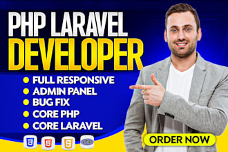 develop custom laravel website and backend solutions