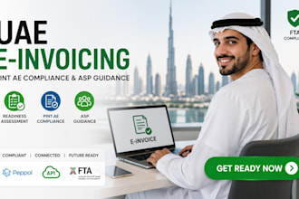 do uae einvoicing readiness assessment pint ae compliance and asp guidance