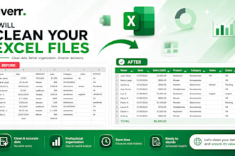 clean, organize, and format your excel data professionally