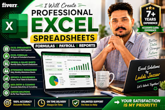 create professional excel spreadsheet formulas,salary,data and payroll