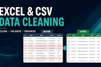 clean validate and organize your excel or CSV data