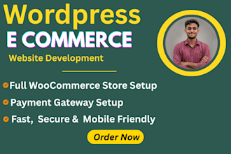 create a professinal wordpress e commerce website