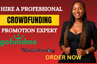 create and promote non profit gofundme and gogetfunding campaign and strategies